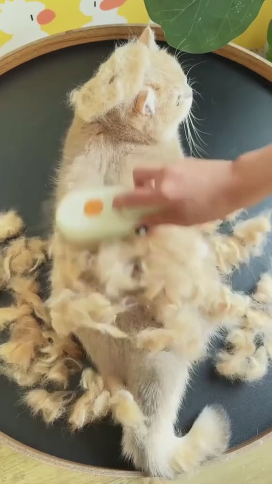 Escova Pet com Spray de Água e Cerdas Massageadoras | Para Cães e Gatos